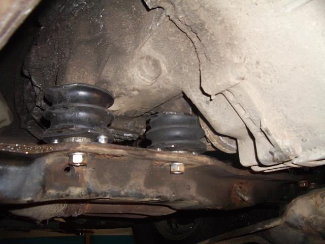 post-11828-1300563075.jpg