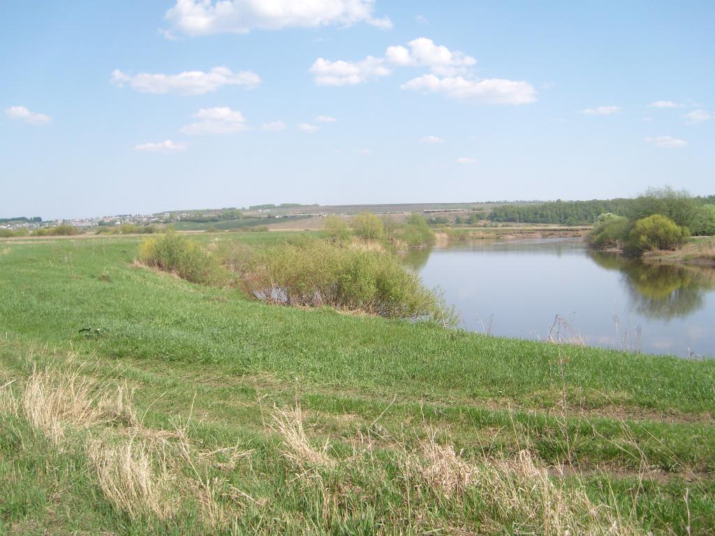 SL730868.JPG