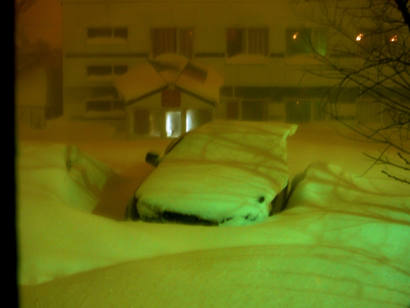 P1010484.JPG