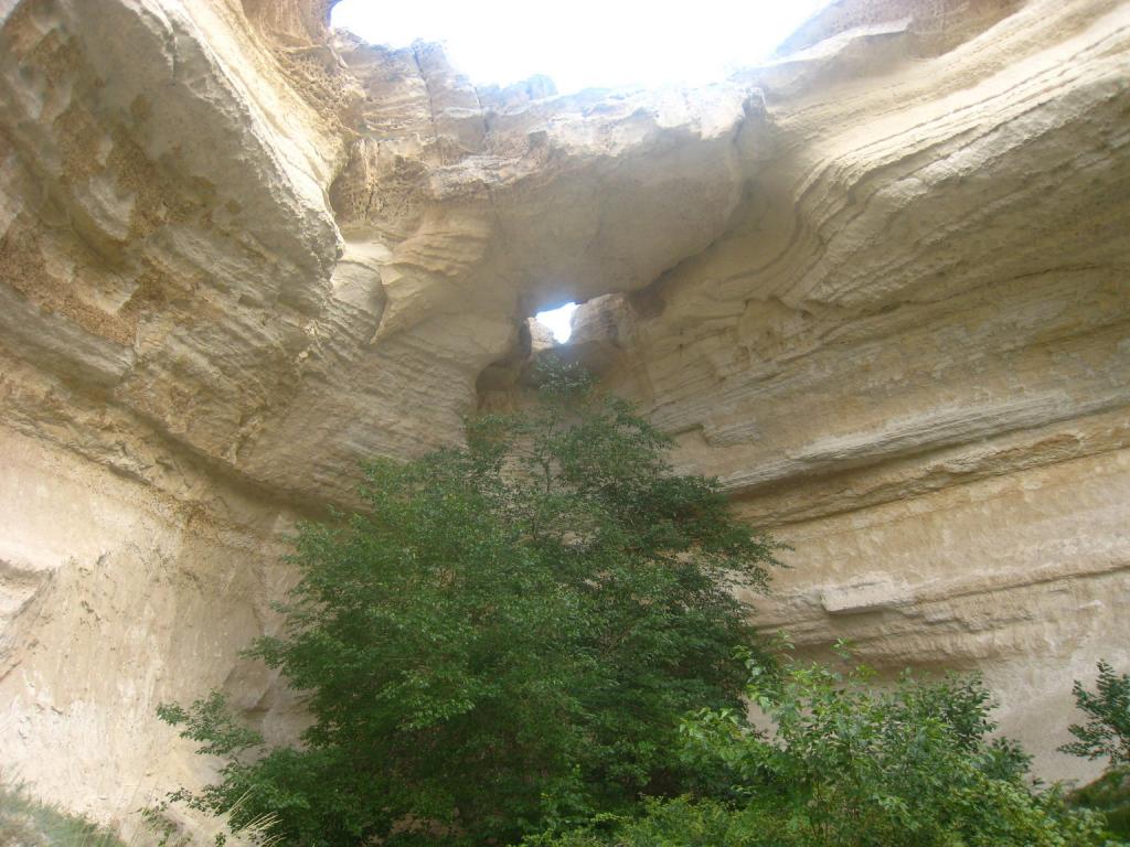 IMG_4868.jpg
