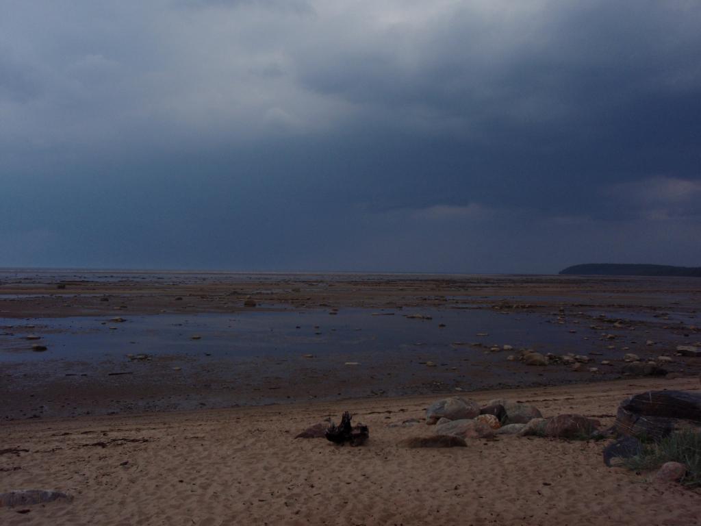 P7231021.JPG