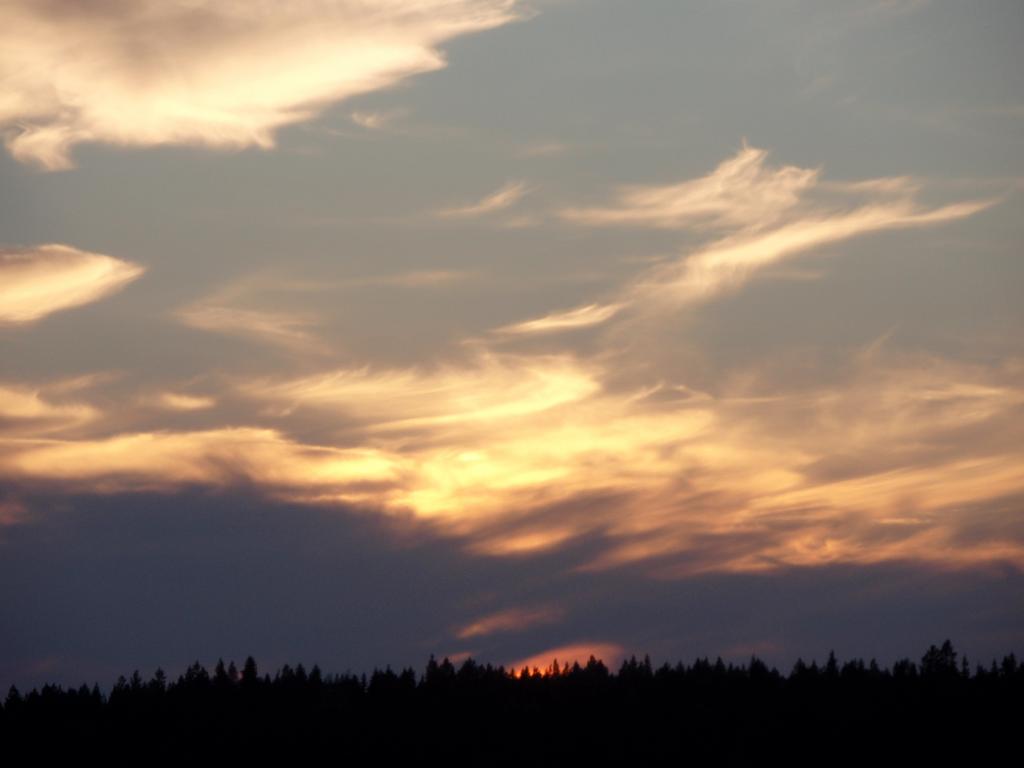 P7220995.JPG