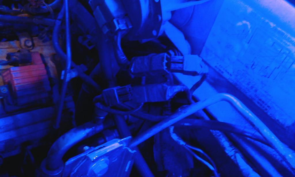 IMAG0288.jpg