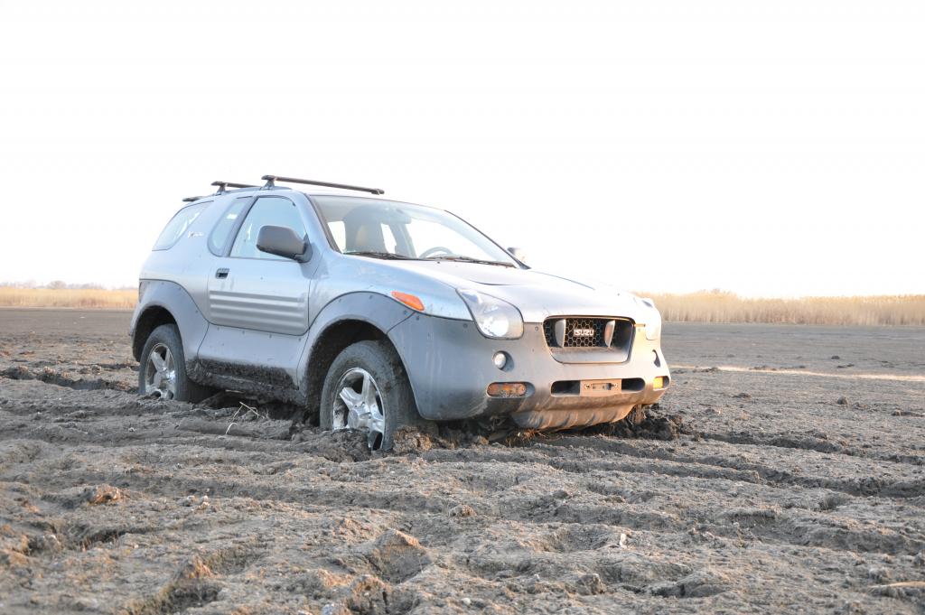 байга2010 001.jpg