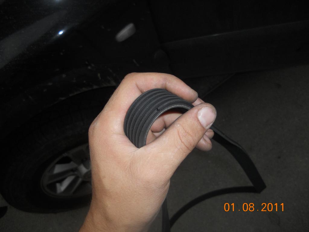 DSCN0732.JPG