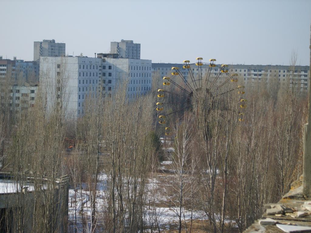 S8300647.JPG