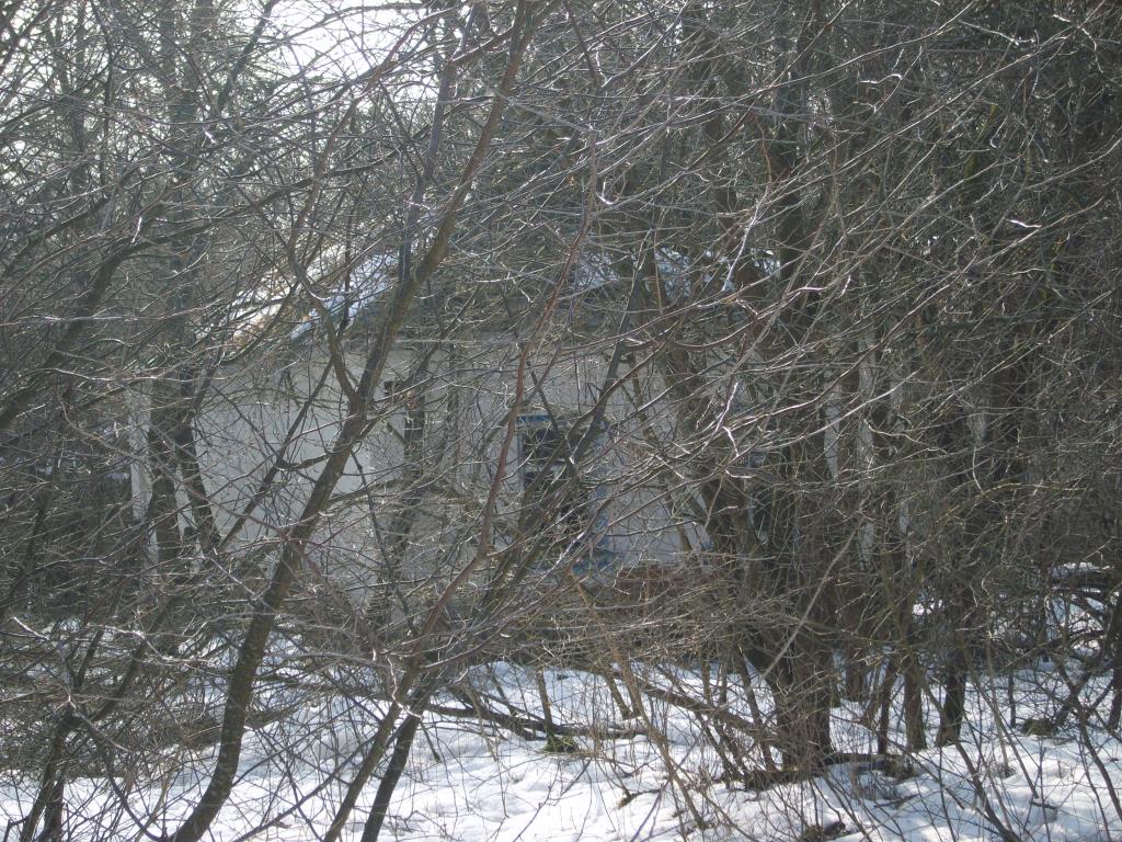 S8300469.JPG