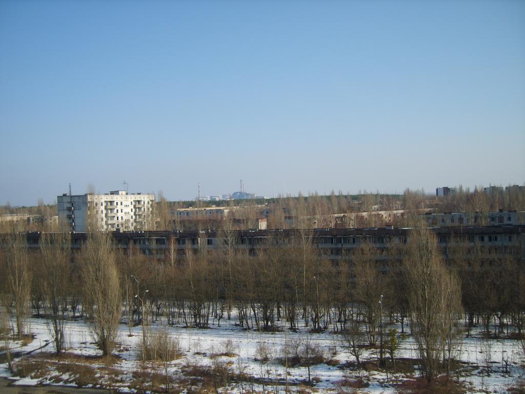 S8300643.JPG