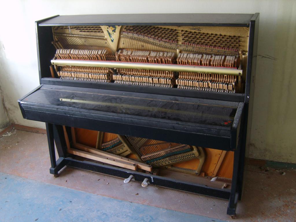 S8300696.JPG