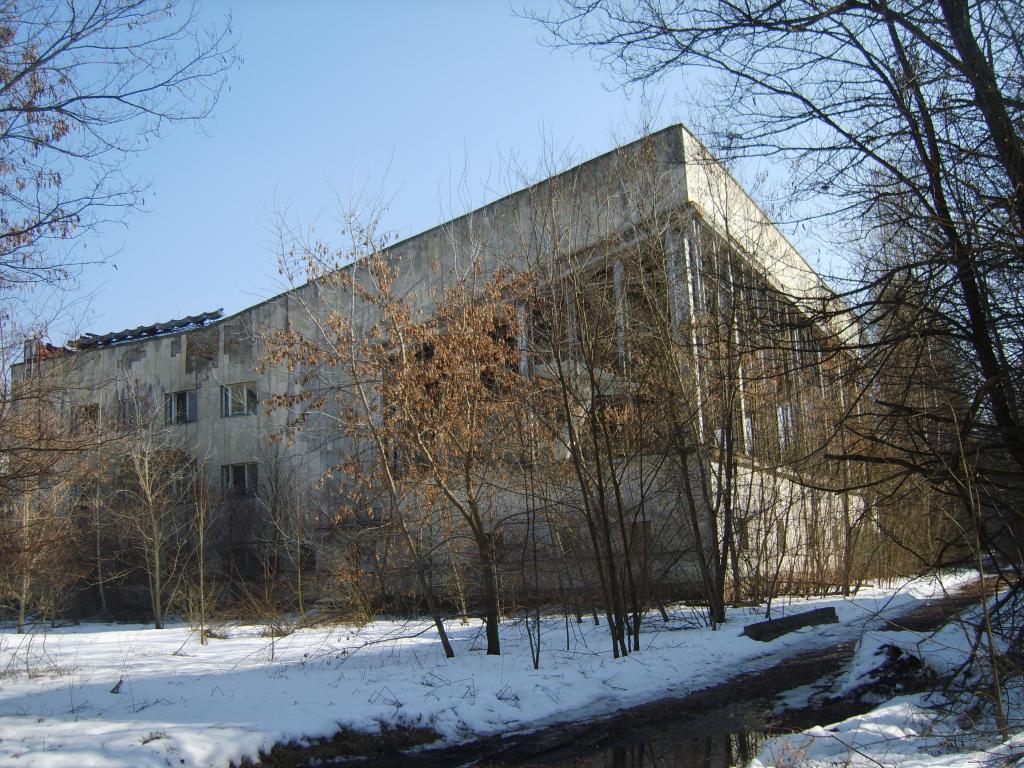 S8300598.JPG