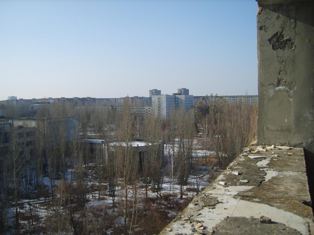 S8300646.JPG