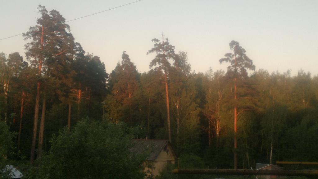 12062011140.jpg