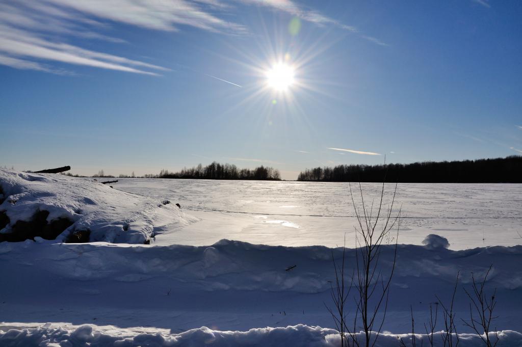 DSC_0411.JPG
