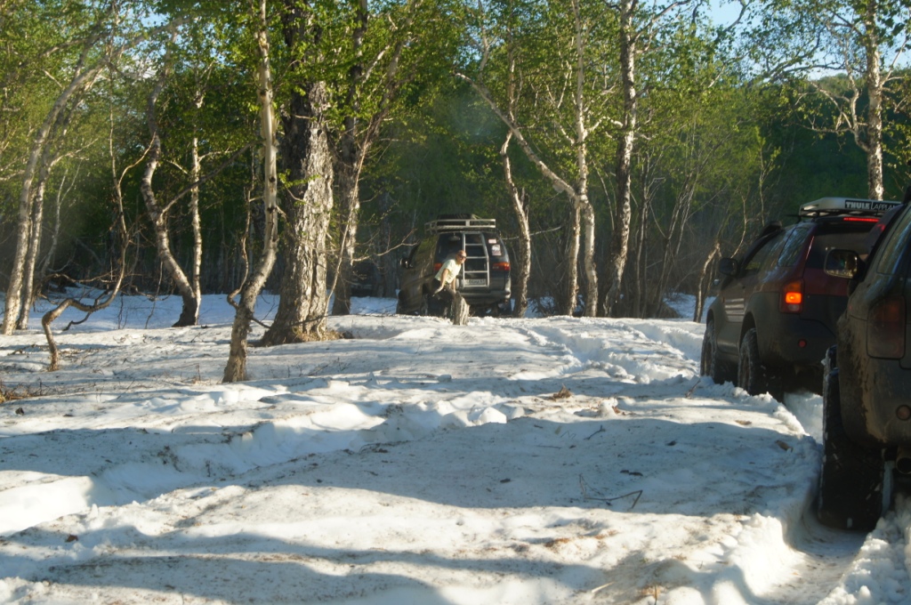 поле1.JPG