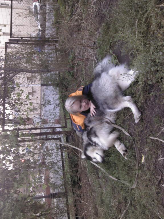 IMG_20130914_184933.jpg
