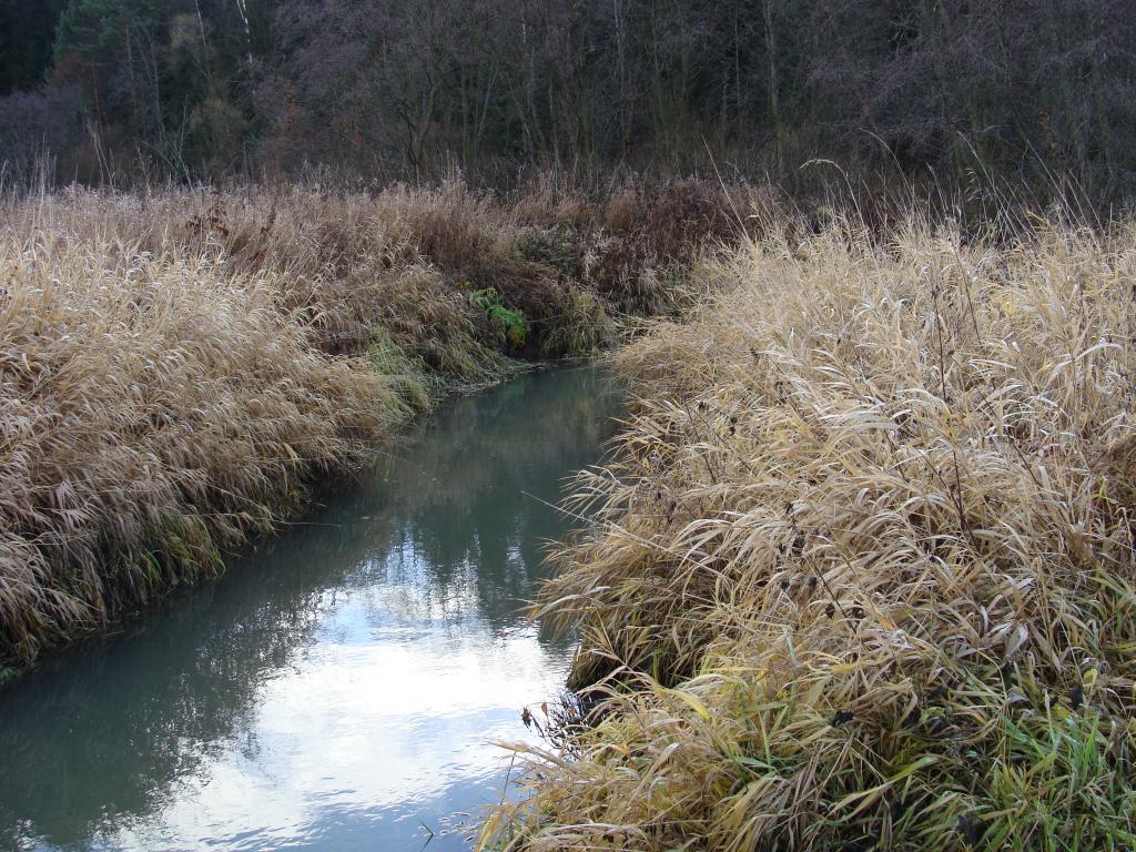 DSC00737.JPG