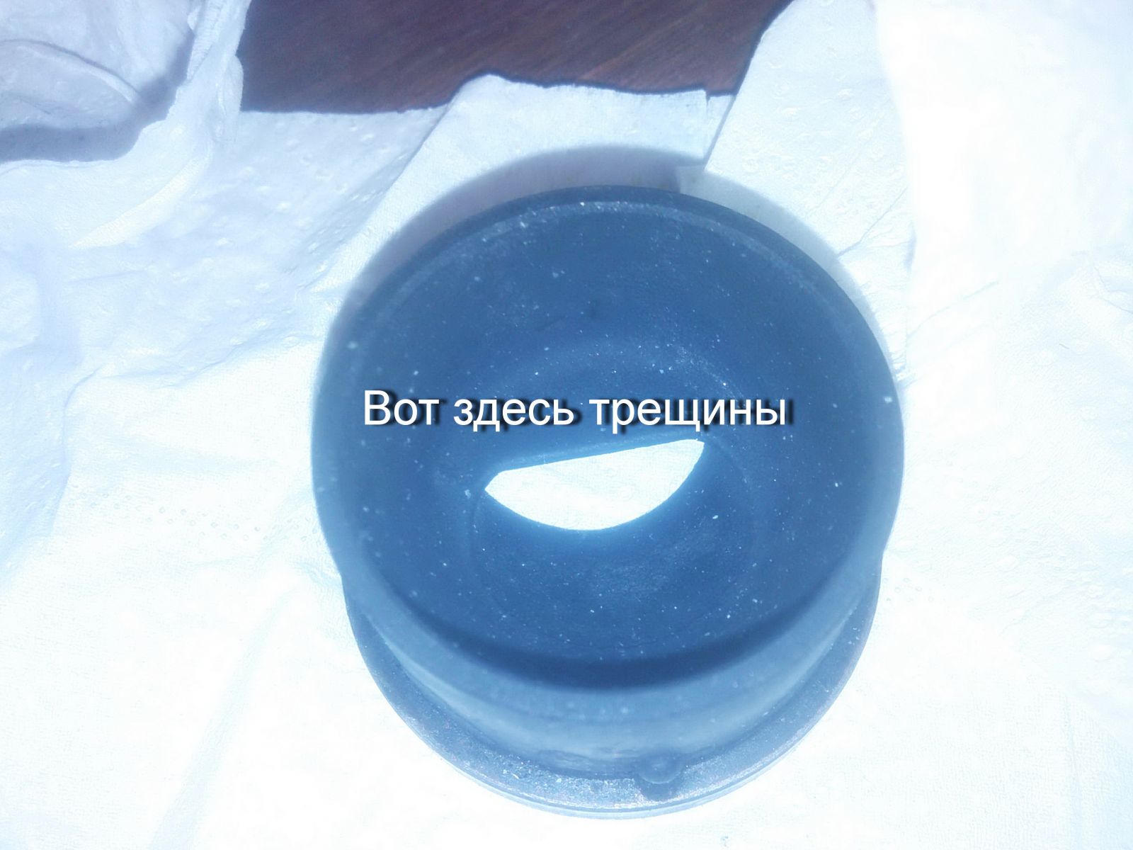 IMG00037