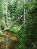DSC05963.JPG