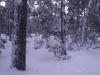 IMG_20200102_172737.jpg