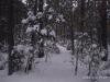 IMG_20200102_172743.jpg