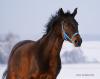 DSC01473.jpg