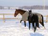DSC01140.jpg
