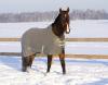 DSC01161.jpg