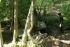 DSC02413.JPG