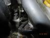 DSCN5494.JPG