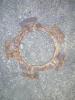 ring1.jpg