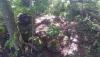 20200717_154659.jpg