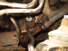 IMG_0277.gif