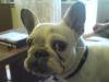 DSC00096.JPG