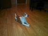 IMG_20140108_143937.jpg