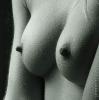 221096.jpg