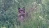 IMG-20150618-WA0008.jpg