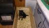 IMG-20170212-WA0002.jpeg