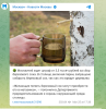 изображение_2025-03-25_211611518.png