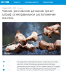 изображение_2025-03-31_072745662.png