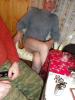DSC02384.jpg