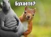 images-8.jpg