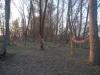 DSC05585.JPG