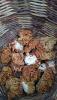 IMG-20170424-WA0006.jpg