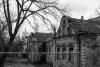 DSCF7771-2.jpg