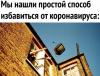 4893284_1000.jpg