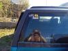 IMG_20230423_162850.jpg
