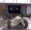 23032009126_.jpg