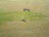 DSC01650.JPG