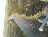 DSC01654.JPG