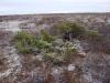 DSC02036.jpg